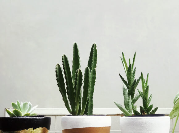 outdoor-bg outdoor bg